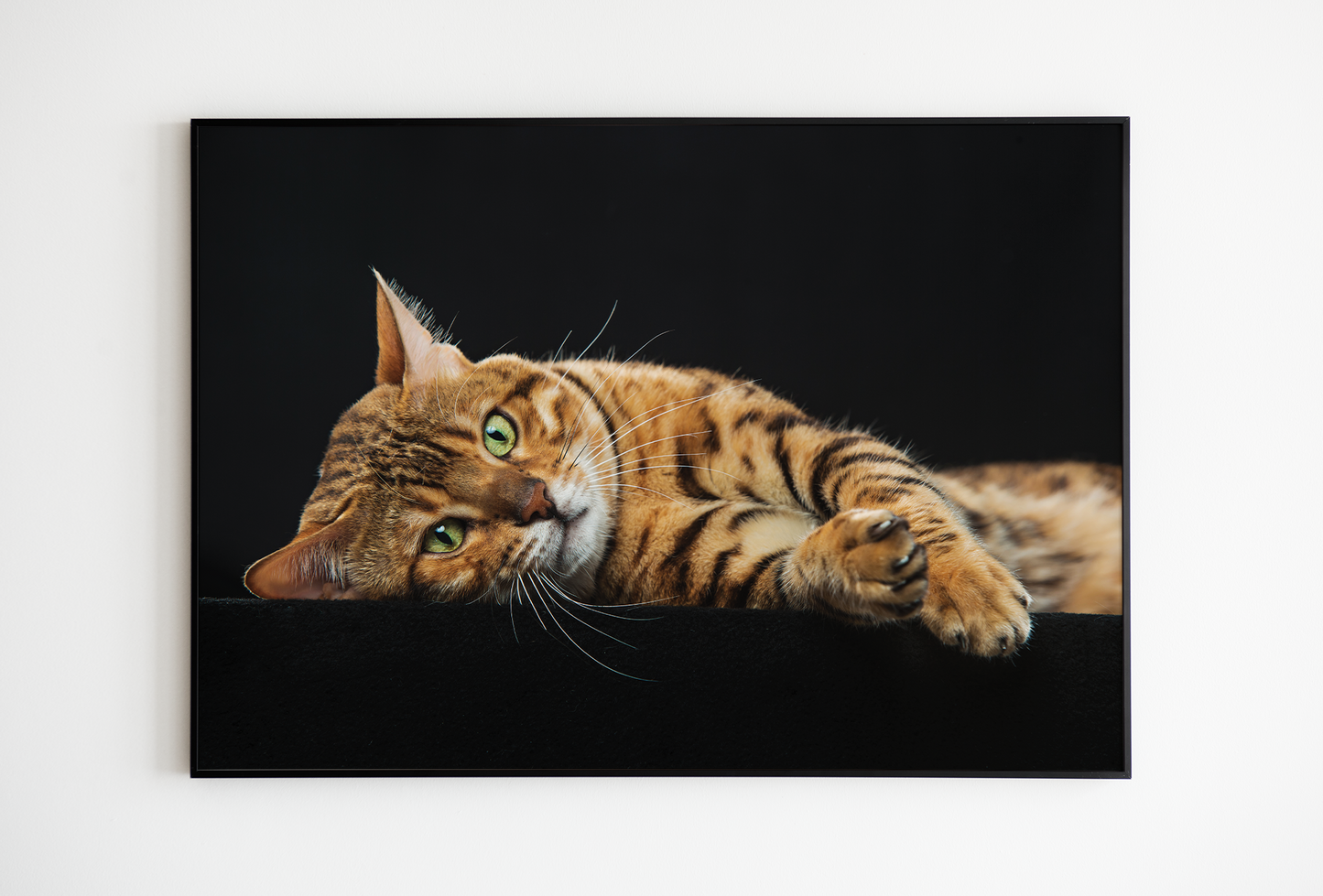 Wall Art Print - GOLDEN BENGAL CAT