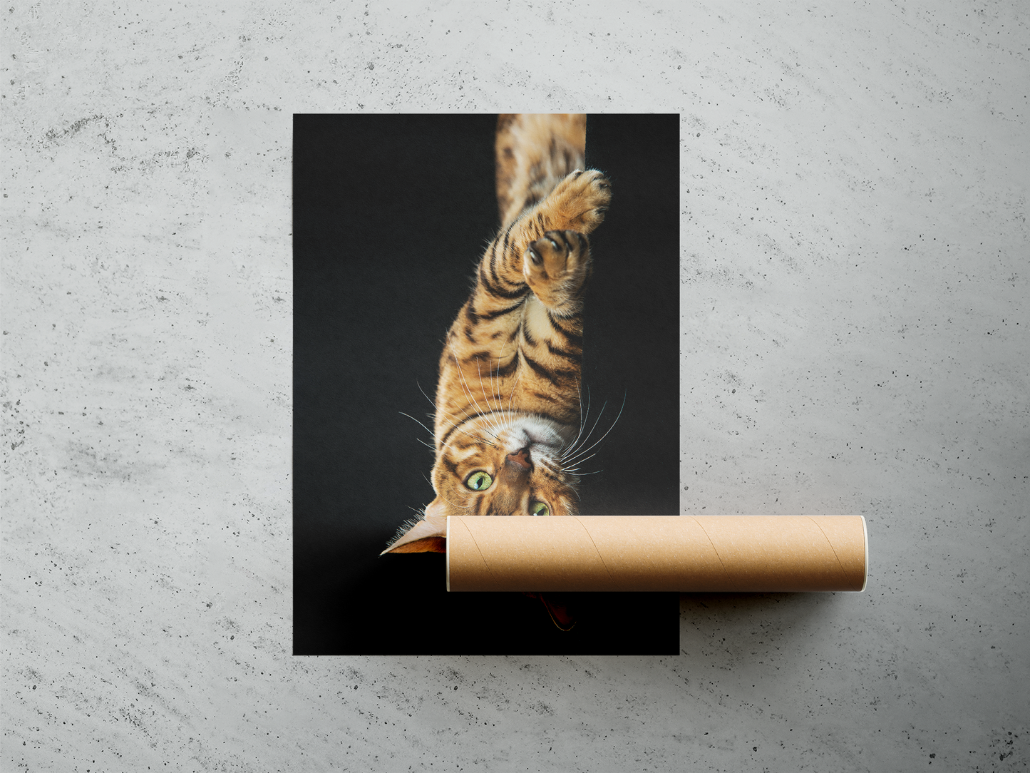 Wall Art Print - GOLDEN BENGAL CAT