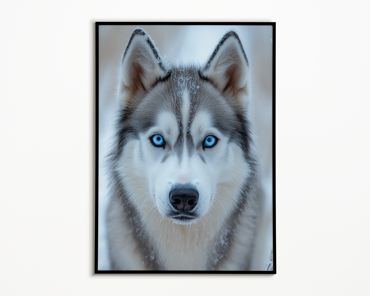 Wall Art Print - SIBERNIAN HUSKY